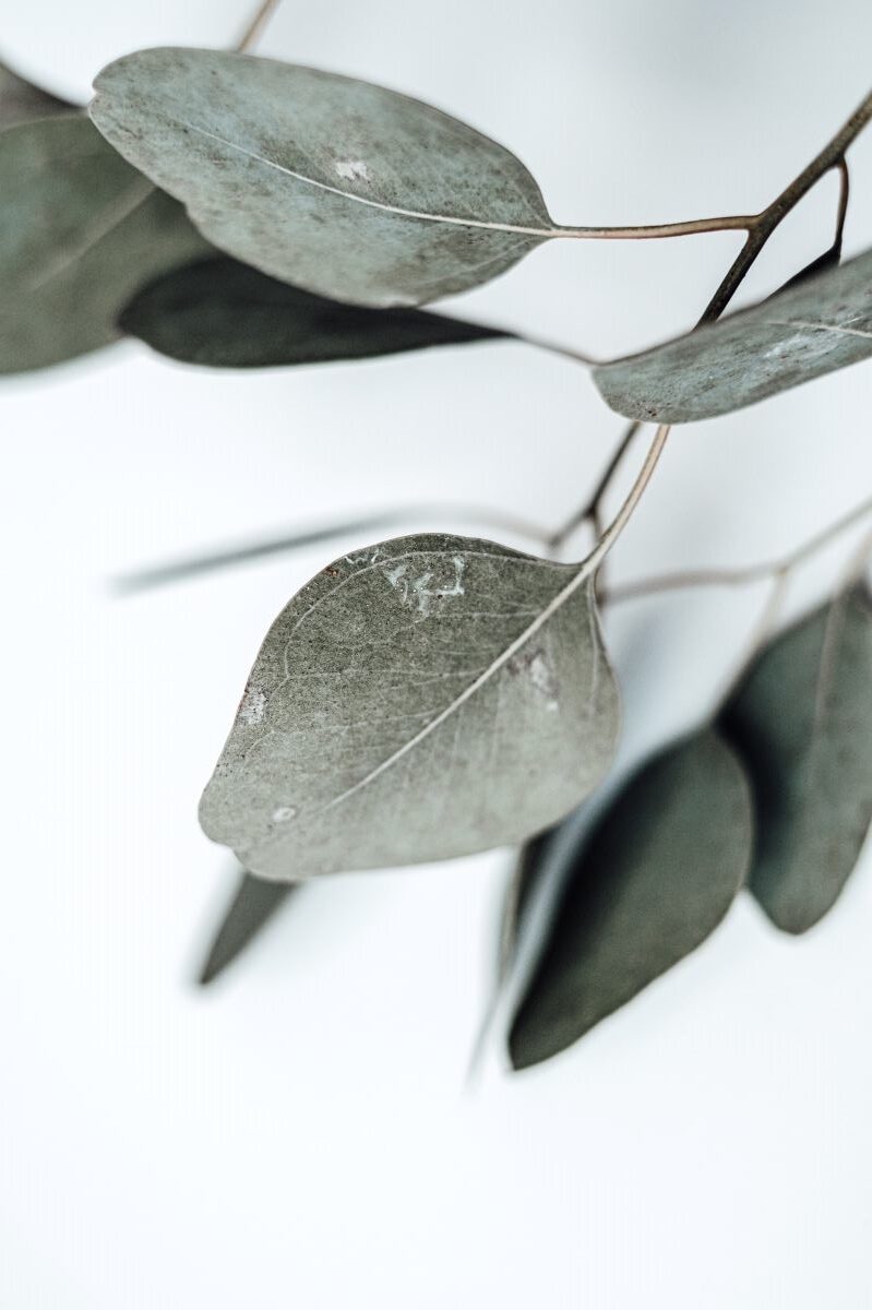werkwijze Vrouw in rouw
